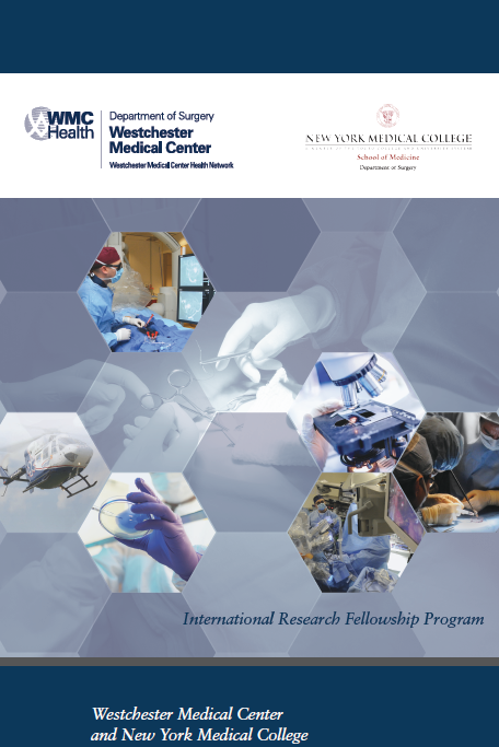 International Research Fellowship