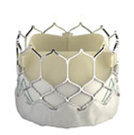 Valve for TAVR